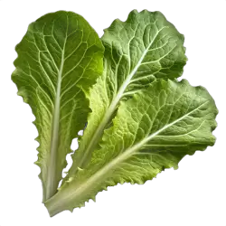 Imagen PNG para descargar